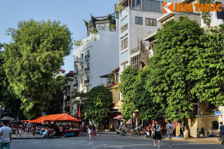 Ngày nay, ít ai còn nhớ rằng trên phố Hàng Dầu đã từng tồn tại rạp chiếu phim đầu tiên ở Đông Dương. Đó là rạp Les Variétés (sau này đổi tên là rạp Pathé).