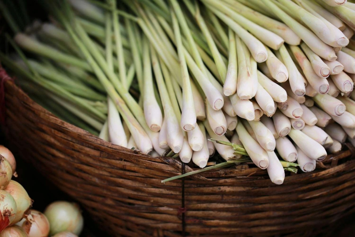 6 tac dung chua benh vuot troi cua cay sa-Hinh-2