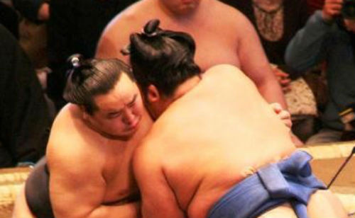 Các võ sĩ sumo ở Nhật Bản và băng đảng Yakuza từ lâu đã có mối liên quan với nhau. Những đô vật sumo thua cuộc trong các trận đấu đôi khi trở thành người của băng đảng Yakuza. Một số cựu võ sĩ sumo đã trở thành ông trùm trong Yakuza.