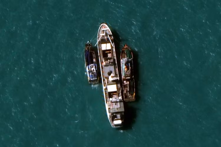 Theo lời kể của một người lái tàu cá cho công ty, họ phải đi đánh bắt xa gần khu vực Papua New Guinea. (Ảnh vệ tinh)