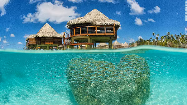 Khu nghỉ dưỡng và suối nước nóng Kia Ora ở Rangiroa, Polynesia thuộc Pháp là địa điểm lý tưởng cho người mới biết lặn.