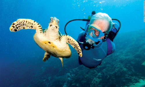 Đảo Petit St.Vincent cũng là địa điểm lý tưởng cho những ai thích khám phá đại dương.