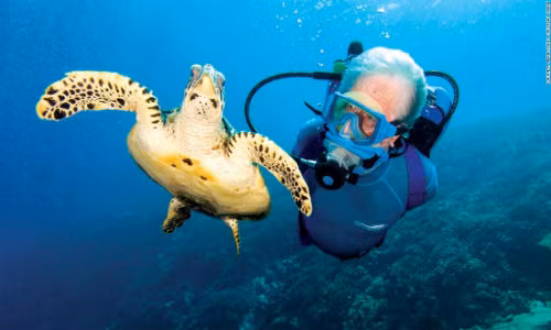 Đảo Petit St.Vincent cũng là địa điểm lý tưởng cho những ai thích khám phá đại dương.