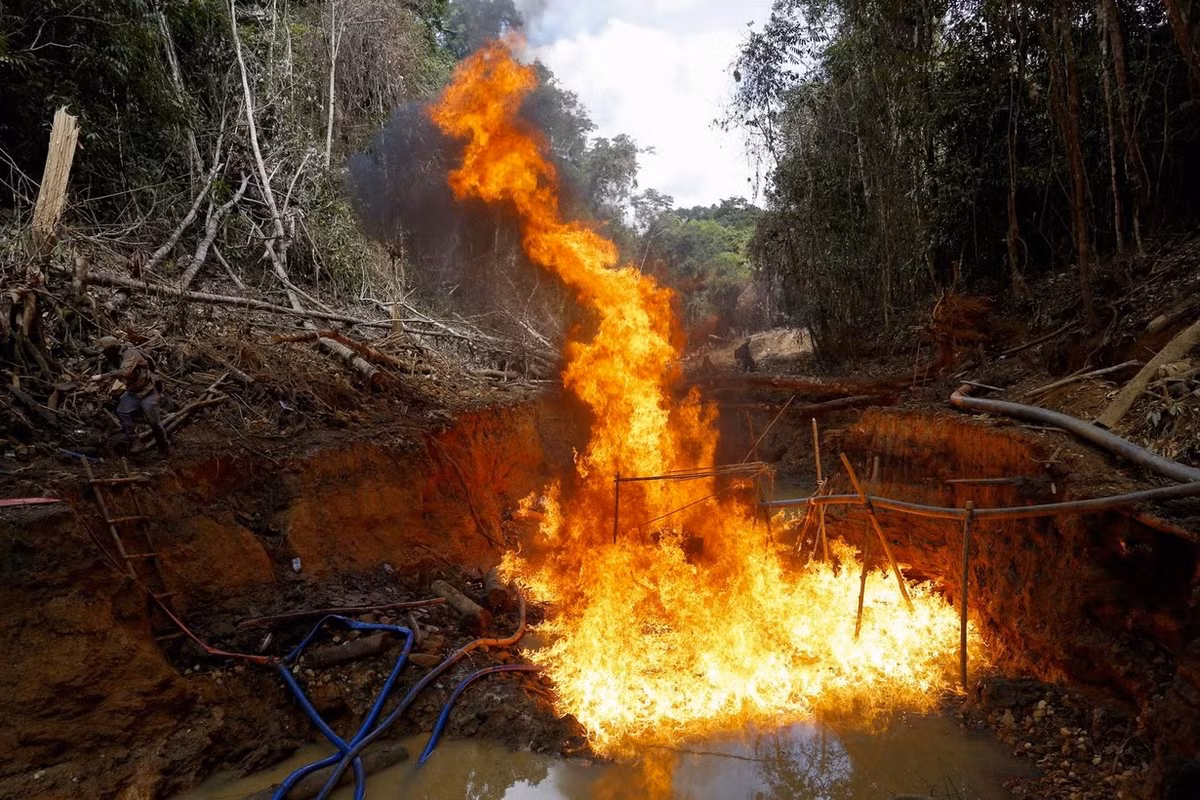 Sau chiến dịch kéo dài 5 ngày hồi tuần trước, lực lượng bảo vệ môi trường Brazil đã phá hủy 20 sà lan mà các đám vàng tặc sử dụng để vận chuyển thiết bị, vật tư đến những vùng xa xôi hẻo lánh trong rừng Amazon.