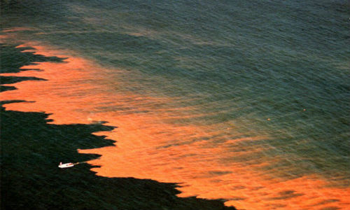 Thuy trieu do khac tinh cua ngu dan