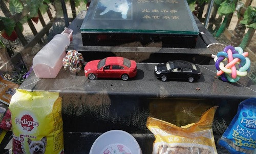 Ô tô đồ chơi, nước và đồ ăn được đặt lên ngôi mộ của chú chó Zhang Xiaoqiu.