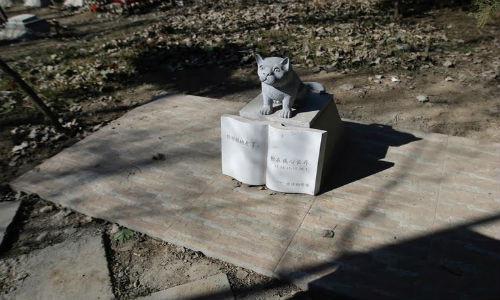 Dòng chữ Trung Quốc ở ngôi mộ của một vật nuôi trong nghĩa trang đặc biệt này có nội dung: “Dù con đã rời xa nhưng vẫn luôn ở trong trái tim ta”.