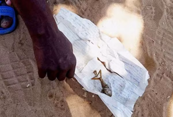 Ba me Zimbabwe sinh ra dua con “giong ech”