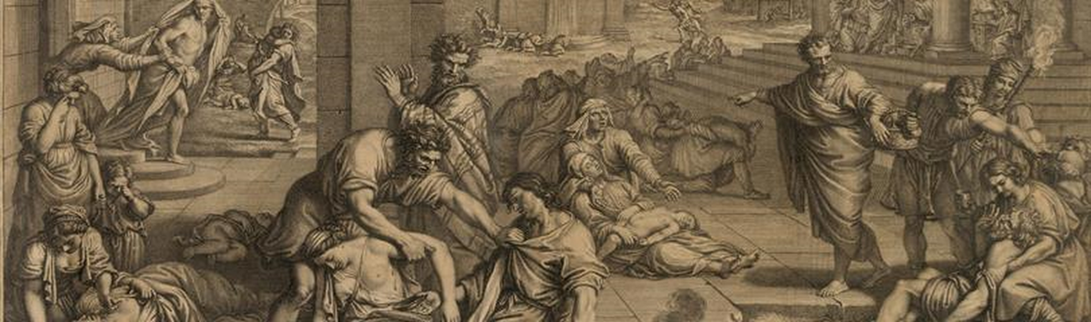 Những con vật này được các chuyên gia nghi ngờ chính là tác nhân làm lây truyền vi khuẩn Yersinia pestis gây bệnh dịch hạch trong đại dịch Cái chết Đen.