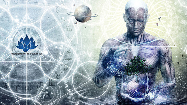 Cụ thể, trong một cuộc tiếp xúc, trò chuyện, nữ bệnh nhân kể với Carl Jung về giấc mơ liên quan đến một con bọ hung vàng.