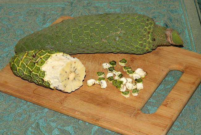 Nhìn bên ngoài chúng như một bắp ngô nhưng không phải là ngô và hình dáng khá lạ.