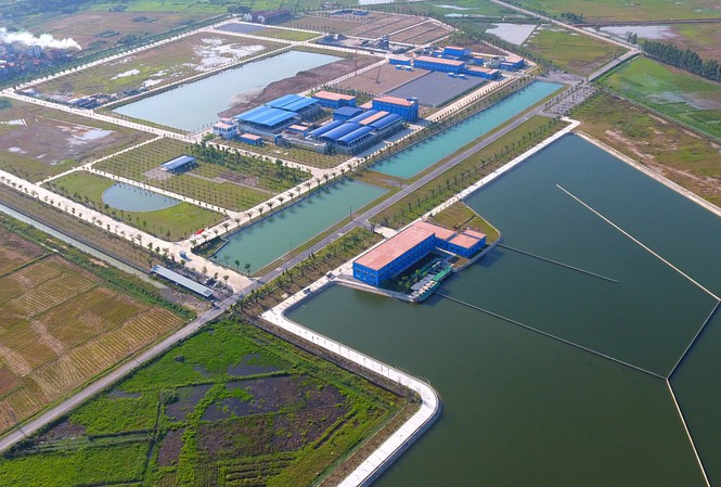 Hang loat khe ho trong gia nuoc sach