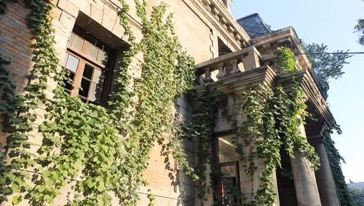 Không những vậy, ngôi nhà số 81 còn được một số chuyên gia phong thủy nhận định là có nhiều hung khí, không tốt cho việc sinh sống.