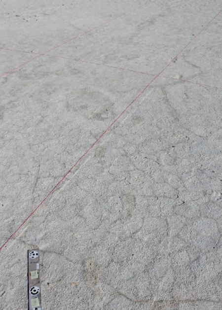 Kế đến, các chuyên gia sử dụng phương pháp radar GPR để xác định thông tin mà không cần khai quật.