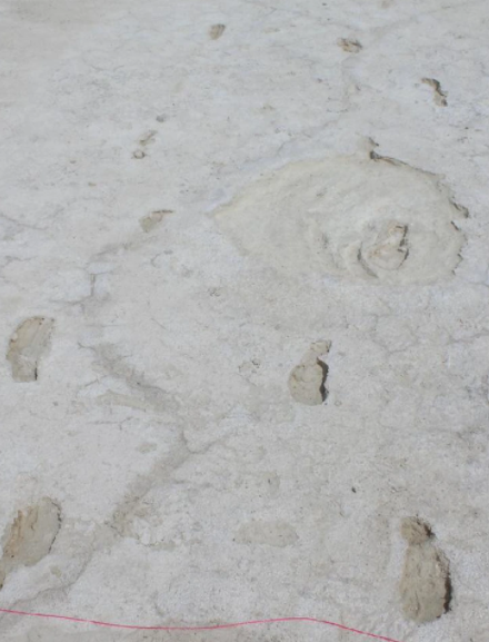 Từ đây, các nhà khoa học có thể phác thảo, xây dựng bức tranh về cuộc sống của người tinh khôn cách đây 12.000 năm.