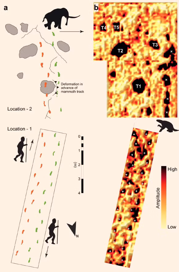 Vì vậy, các nhà khoa học giải mã được bí ẩn về dấu chân xuất hiện cách đây gần 12.000 năm "đánh đố" nhân loại" suốt nhiều năm qua.