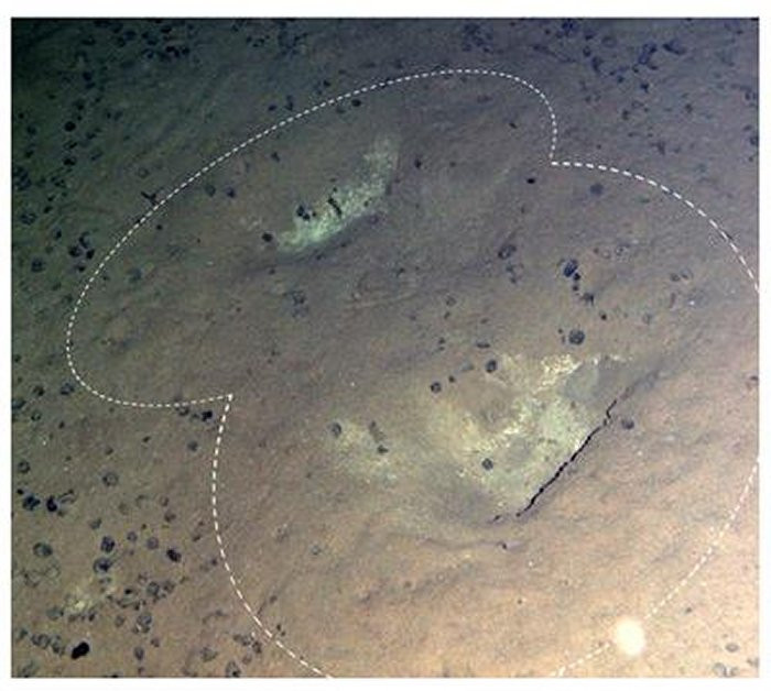 Đại dương rộng lớn ẩn chứa nhiều bí ẩn mà con người chưa thể giải mã. Trong số này có bí ẩn về những dấu chân khổng lồ dưới đáy biển Thái Bình Dương, khu vực giữa Mexico và Hawaii.