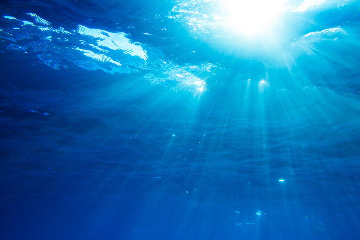 Do quái vật này chưa được các nhà khoa học phát hiện nên chúng ta không biết chúng có hình dáng như thế nào hay thuộc chủng loài nào.