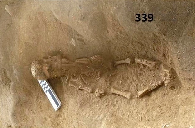 Nguyên nhân khiến 2 đứa trẻ tử vong cách đây khoảng 2.000 năm vẫn là một ẩn số. Các chuyên gia hoài nghi cái chết của hai đứa trẻ này có thể liên quan đến một vụ phun trào núi lửa xảy ra trước đó.