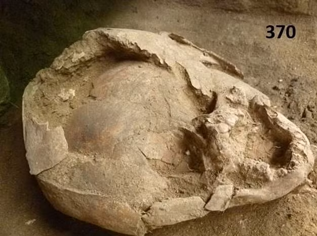 Theo các chuyên gia, một đứa trẻ qua đời khi khoảng 18 tháng tuổi. Đứa trẻ này được chôn cất với một hộp sọ của trẻ em khác tầm 4 - 12 tuổi.