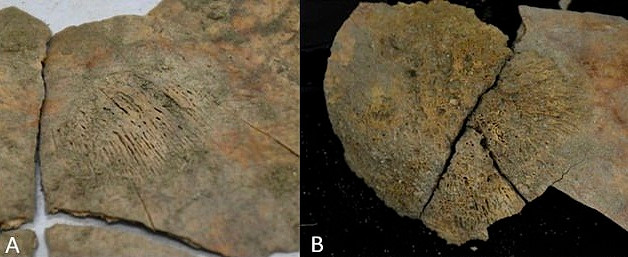 Do ảnh hưởng của tro bụi núi lửa sau khi phun trào, sản xuất lương thực, thực phẩm của người dân gặp khó khăn.