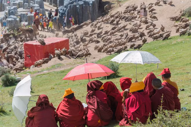 Tây Tạng nổi tiếng với tập tục thiên táng hay còn gọi điểu táng có truyền thống lâu đời. Tập tục này đối với người dân địa phương vô cùng linh thiêng và ý nghĩa.