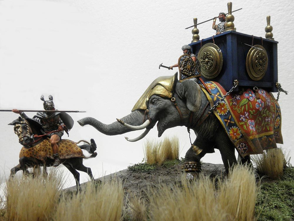 Thế nhưng, về sau, những con voi chiến vô cùng to lớn và hung dữ nhưng chúng không thể cản bước đội quân của Alexander Đại đế giành thắng lợi.