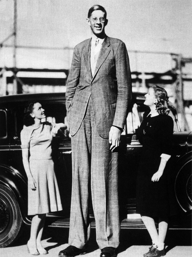 Robert Wadlow, người đàn ông cao nhất thế giới, đạt chiều cao hơn 2,5 mét và nặng gần 200 kg.