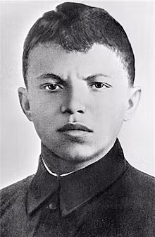 Khi Hitler thực hiện xâm lược xứ sở bạch dương, Matrosov gia nhập quân đội Liên Xô trong cuộc chiến chống phát xít Đức.