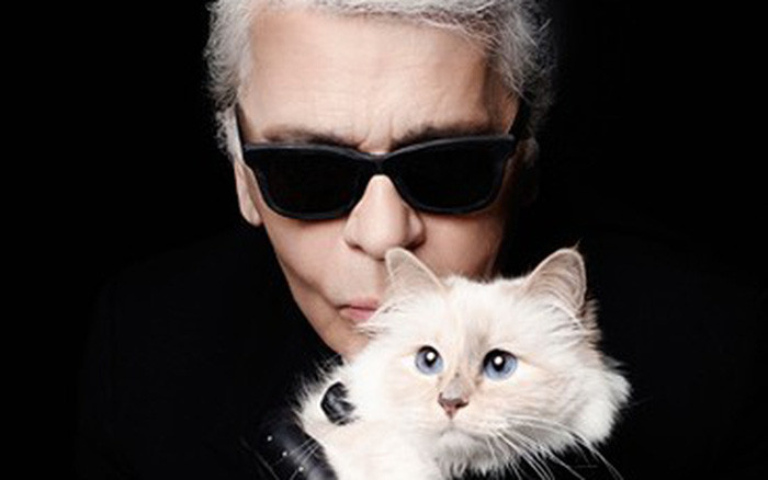 Kết hôn với mèo: Tháng 6/2013, nhà thiết kế thời trang Karl Lagerfeld tuyên bố rằng ông mong muốn được kết hôn với chú mèo Choupette của mình vì cho rằng không ai có thể yêu chú mèo nhiều như ông. Ảnh: IT.