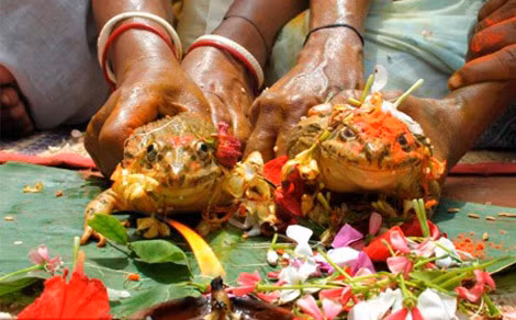 Kho hieu nhung cuoc hon nhan cua nguoi voi dong vat-Hinh-9