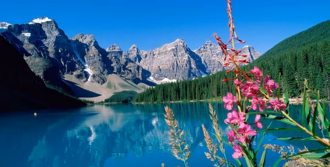 Một bên hồ là những ngọn núi đá lung linh với đỉnh chóp phủ màu trắng tinh khôi của băng. Phía còn lại là những đồi thông xanh mướt trải dài bạt ngàn, cùng với bầu trời trong xanh, tất cả đều in bóng rõ rệt xuống mặt hồ phẳng lặng ở trung tâm.