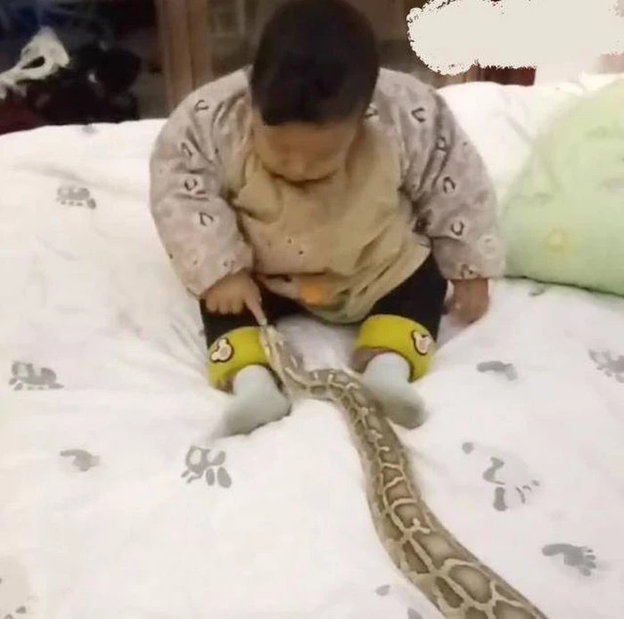 Thay con trai 1 tuoi choi dua voi tran khong lo, me soc nang-Hinh-2