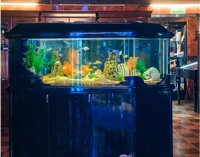 Yakushin qua đời vào năm 2022, nhưng ông đã để lại một di sản lớn - khoảng 30 nghìn hiện vật liên quan đến truyền thống chôn cất. Chúng được đặt trong ba gian nhà riêng biệt, du khách có thể mất hàng giờ đồng hồ để khám phá.