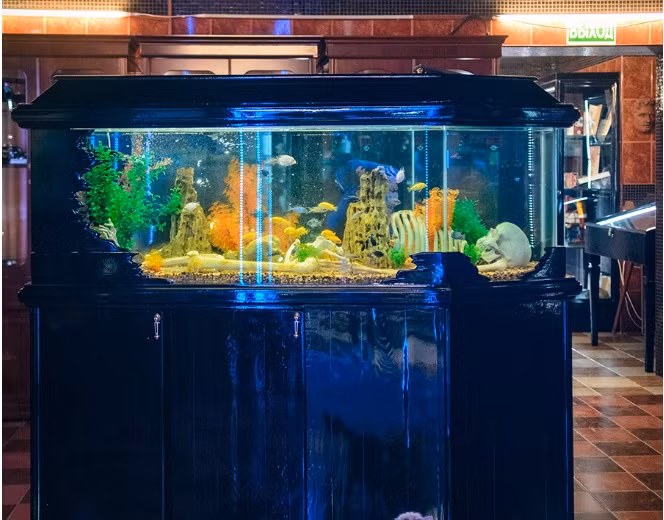 Yakushin qua đời vào năm 2022, nhưng ông đã để lại một di sản lớn - khoảng 30 nghìn hiện vật liên quan đến truyền thống chôn cất. Chúng được đặt trong ba gian nhà riêng biệt, du khách có thể mất hàng giờ đồng hồ để khám phá.