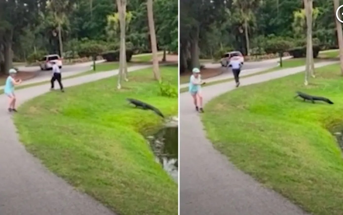 Đang câu cá, người đàn ông bị cá sấu rượt đuổi chạy té khói Dang cau ca, nguoi dan ong bi ca sau ruot duoi chay te khoi