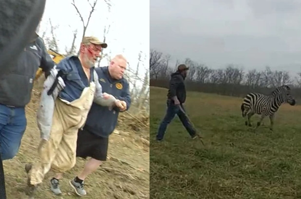 Cảnh sát nổ súng bắn hạ con ngựa hung hãn tấn công chủ Canh sat no sung ban ha con ngua hung han tan cong chu