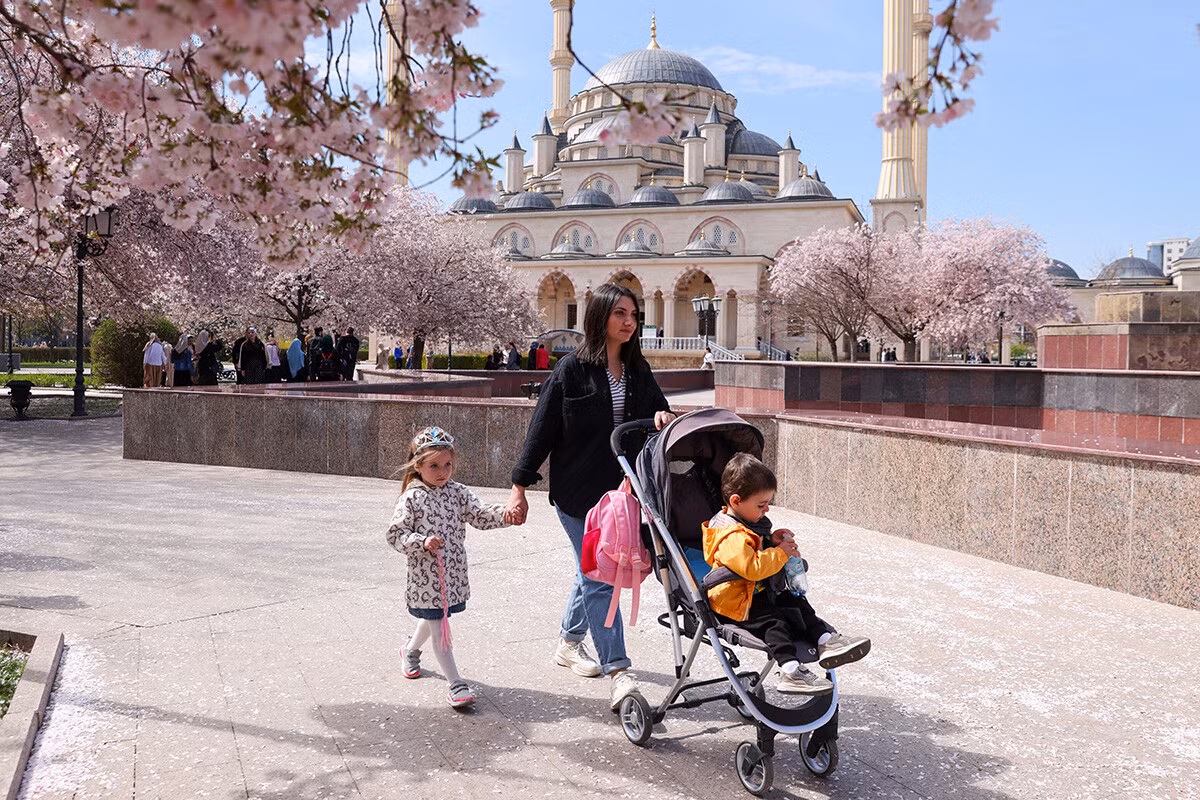 Ở phía nam, hoa anh đào bắt đầu nở rộ vào tháng 3. Bức ảnh này được chụp ở Grozny, thủ đô của Cộng hòa Chechnya.