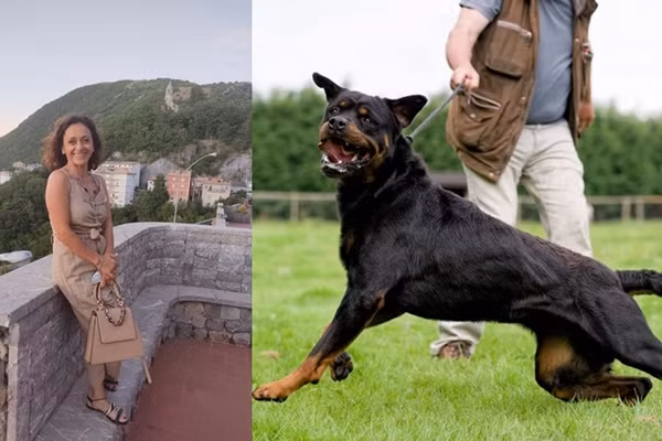 Co cho cho an, nguoi phu nu bi tan cong da man