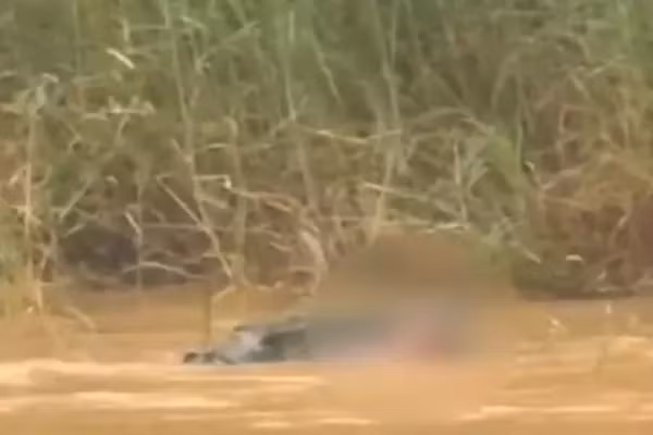 Tam ven song, nguoi phu nu bong bi ca sau tan cong