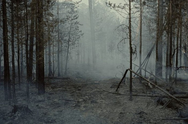 Nhiều cây đổ chắn ngang lối đi vào làng.