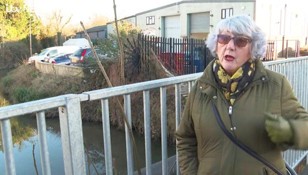 Cụ bà bị phạt gần 3 triệu đồng vì cho vịt ăn 1 lát bánh mì Cu ba bi phat gan 3 trieu dong vi cho vit an 1 lat banh mi