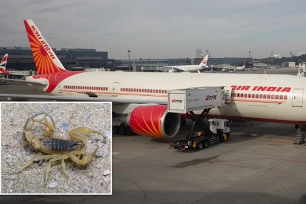 An Do: Nguoi phu nu bi bo cap can tren may bay