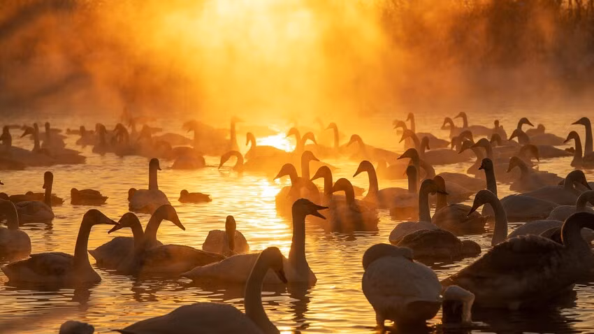 Ve dep me hoac cua Ho thien nga o Siberia