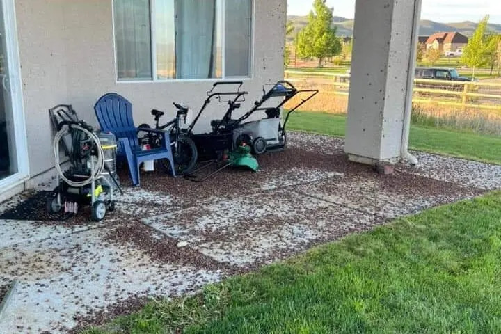 Mỹ: Côn trùng dày đặc khắp nơi khiến người dân khiếp sợ - Hình 2 My: Con trung day dac khap noi khien nguoi dan khiep so-Hinh-2