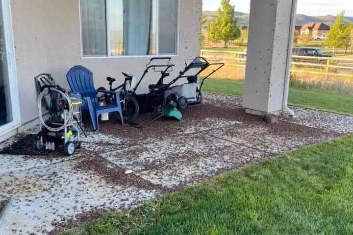 My: Con trung day dac khap noi khien nguoi dan khiep so-Hinh-2