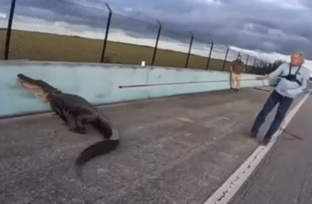 Ca sau khong lo gay hon loan tren duong cao toc My