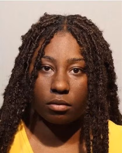 Mai di an trom, ba me bo mac 2 con trong xe boc chay-Hinh-2