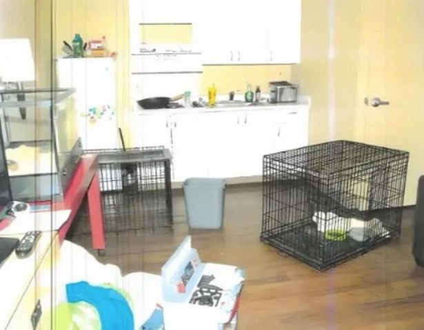 Mỹ: Hiện trường vụ 6 đứa trẻ bị bố mẹ nhốt trong chuồng chó - Hình 2 My: Hien truong vu 6 dua tre bi bo me nhot trong chuong cho-Hinh-2