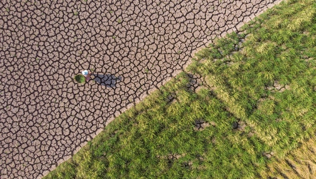 Hơn một tuần nay, miền Nam Trung Quốc ghi nhận đợt nắng nóng kỷ lục, một số nơi nhiệt độ trên 40 độ C, nhiều hồ chứa nước cạn kiệt. Ảnh cánh đồng nứt nẻ giữa đợt hạn hán nghiêm trọng ở Nội Giang, tỉnh Tứ Xuyên. Ảnh: VCG.